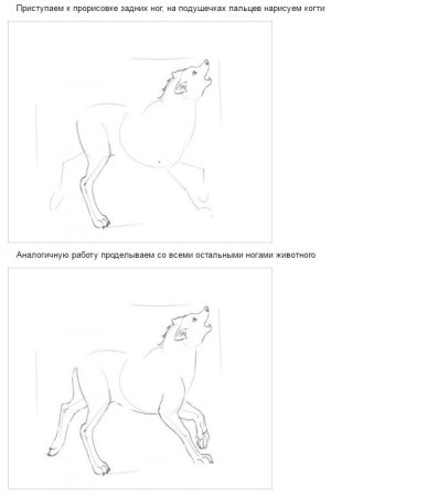Рисунок к басне свинья под дубом 5 класс