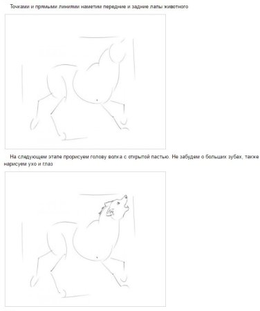 Изображение характера животных