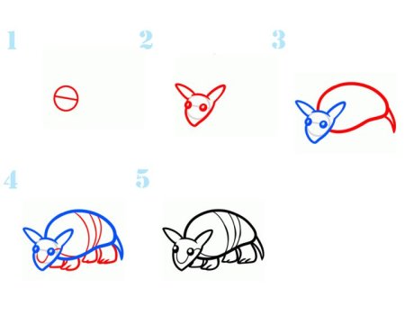 Как нарисовать броненосца