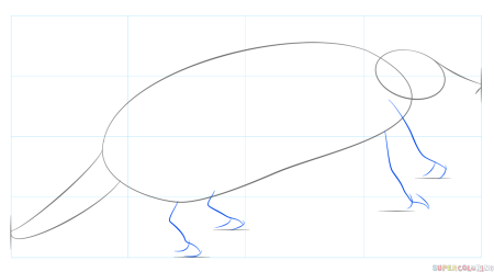 Как нарисовать броненосца поэтапно