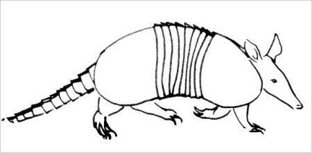 Броненосец шаблон