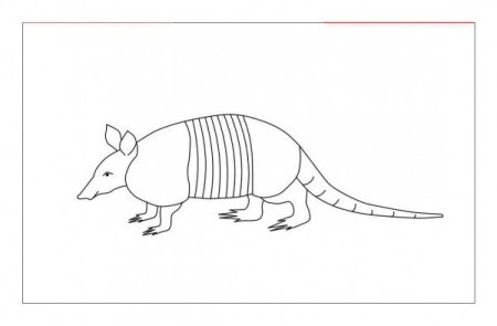 Броненосец раскраска для детей