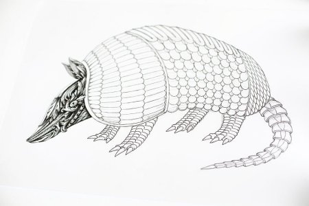 Панголин броненосец стилизация