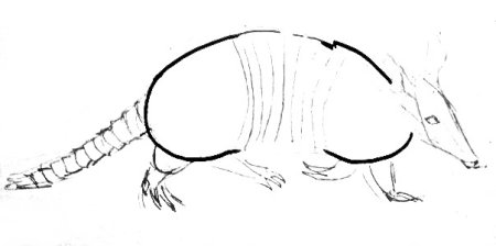 Нарисовать легко броненосца