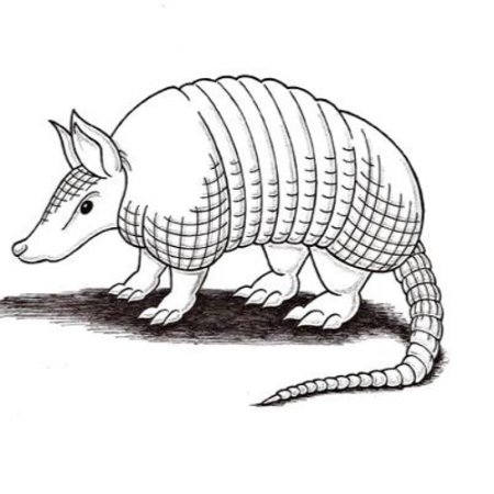 Броненосец раскраска детская