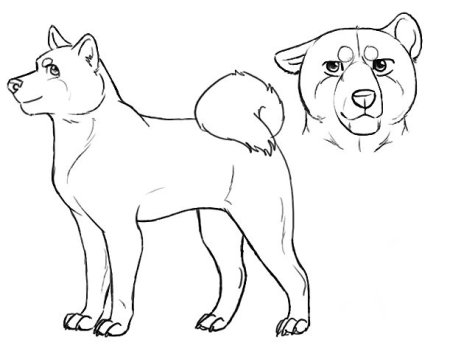 Лайны Акита ину