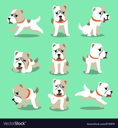 Схема рисования собаки