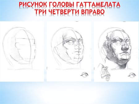 Конструктивный рисунок головы готомилато