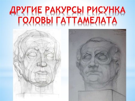 Гипсовая голова Гаттамелата линейно конструктивный рисунок