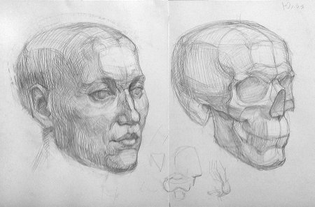 Пластическая анатомия головы