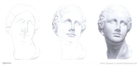 Рисунок гипсовой головы Венеры МАРХИ