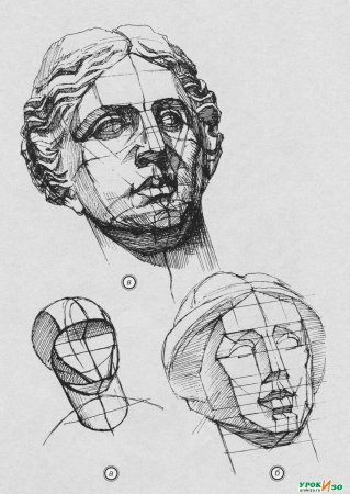 Гипсовая голова Венеры Милосской на построение