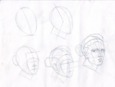 Поэтапное построение головы