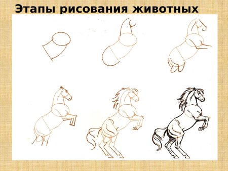 Схема рисования лошади для детей