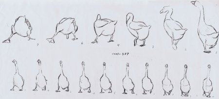 Рисование птицы поэтапно