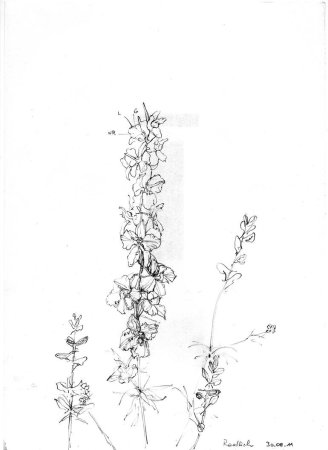 Вышивка лентами для начинающих схемы