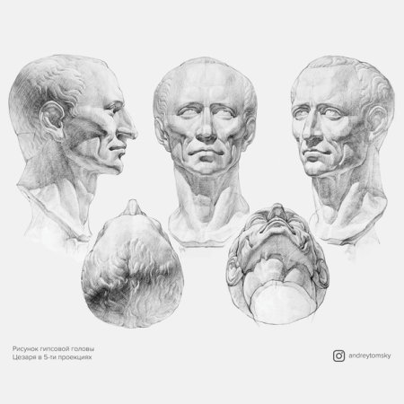 Андрей Томский гипсовые головы