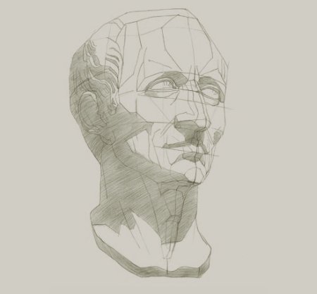 Цезарь рисунок гипсовой головы