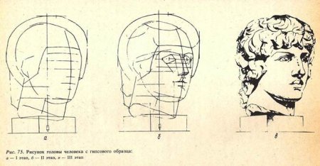 Этапы построения гипсовой головы