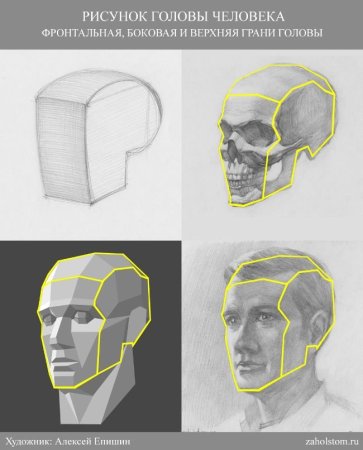 Рисование гипсовой головы Антиноя