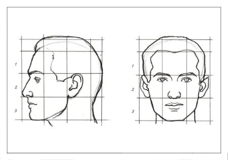 Эндрю Лумис построение головы