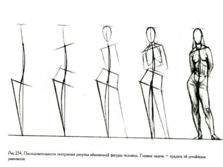 Этапы рисования фигуры человека