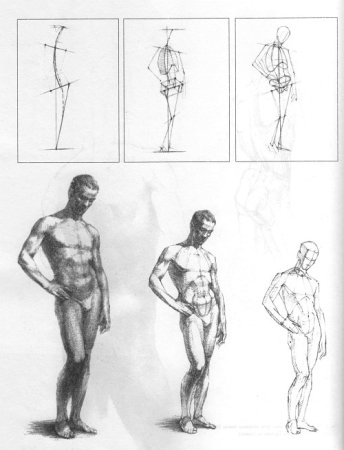 Фигура полного человека