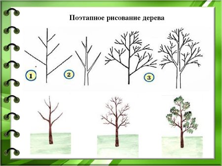 Поэтапное рисование дерева