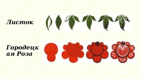 Поэтапное рисование цветка Розан Городецкая роспись