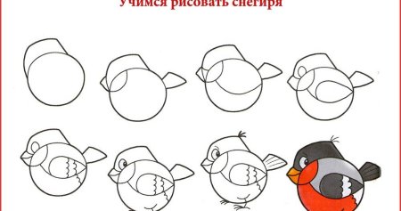 Рисование птички в средней группе