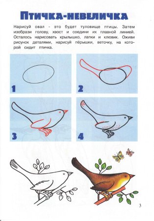 Поэтапное рисование синицы для детей