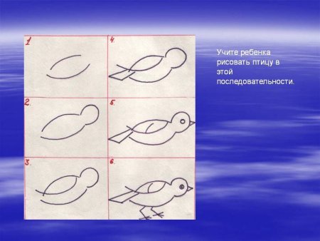 Сказочная птица поэтапное рисование