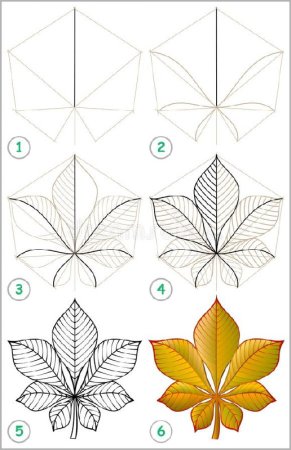 Листья поэтапно