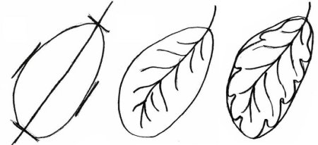 Поэтапное рисование листочка