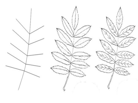 Рябиновый лист поэтапно