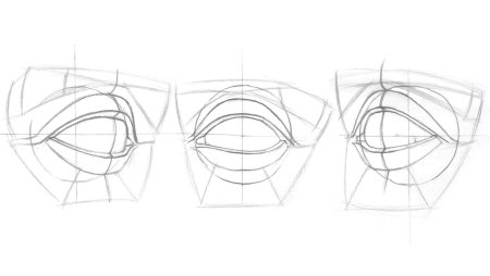 Баммес анатомия глаз