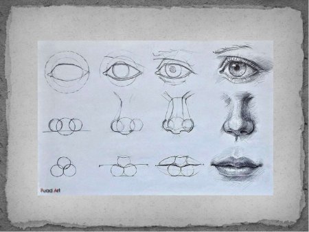 Уроки рисования карандашом части лица