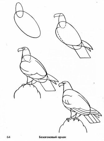 Схема рисования птицы