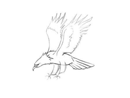 Орел рисунок поэтапно