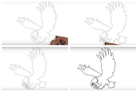 Рисунок орла пошагово для детей