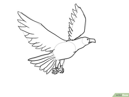 Орел поэтапно карандашом для детей