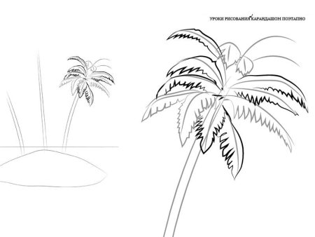 Пальма рисунок карандашом