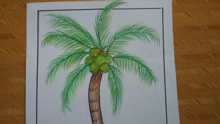 Путешествие в Африку рисунок детей