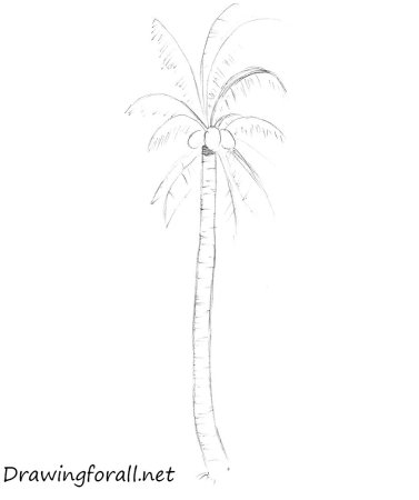 Город в пустыне рисунок