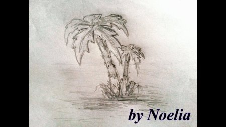 Рисунок пальмы карандашом для начинающих