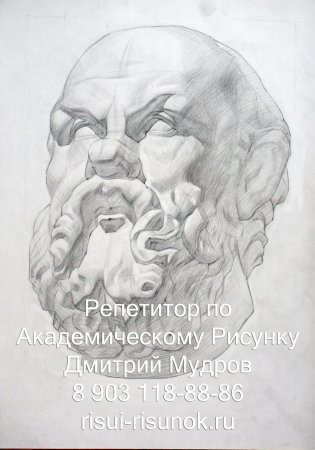 Сократ голова гипсовая МАРХИ