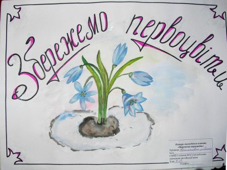 Рисунок берегите растения
