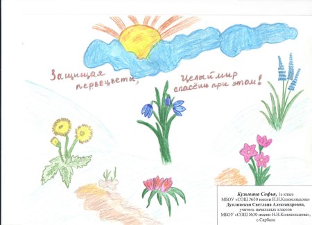 Плакат в защиту первоцветов