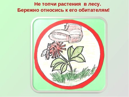 Плакат берегите растения