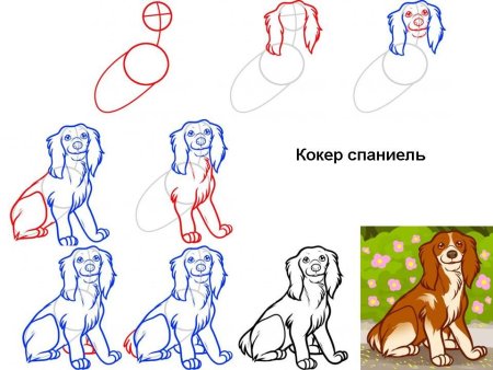 Рисунок собаки для срисовки легкие